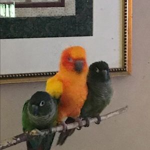 Meet your Posher, Deb