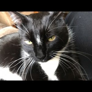 Meet your Posher, Laree