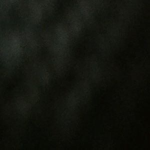 Meet your Posher, Bobbie