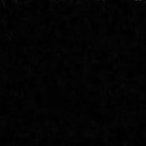 Meet your Posher, Timya