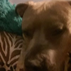 Meet your Posher, Margaret