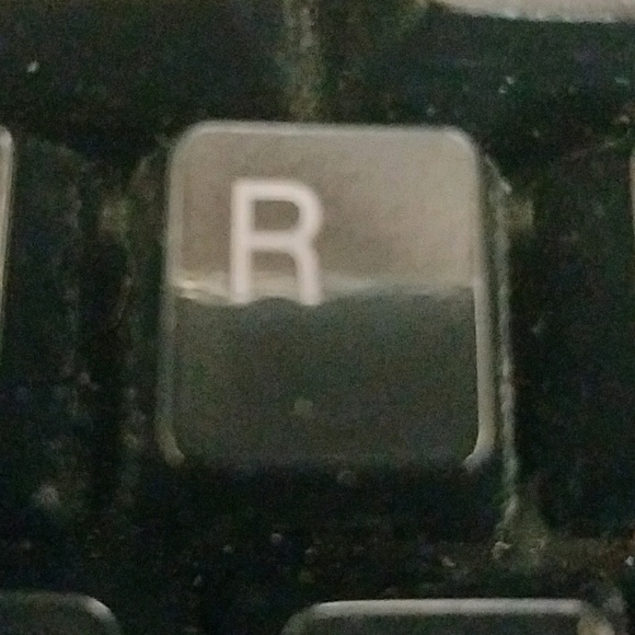 Meet your Posher, Roxie - Picture 1 of 1