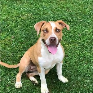 Meet your Posher, Crystal