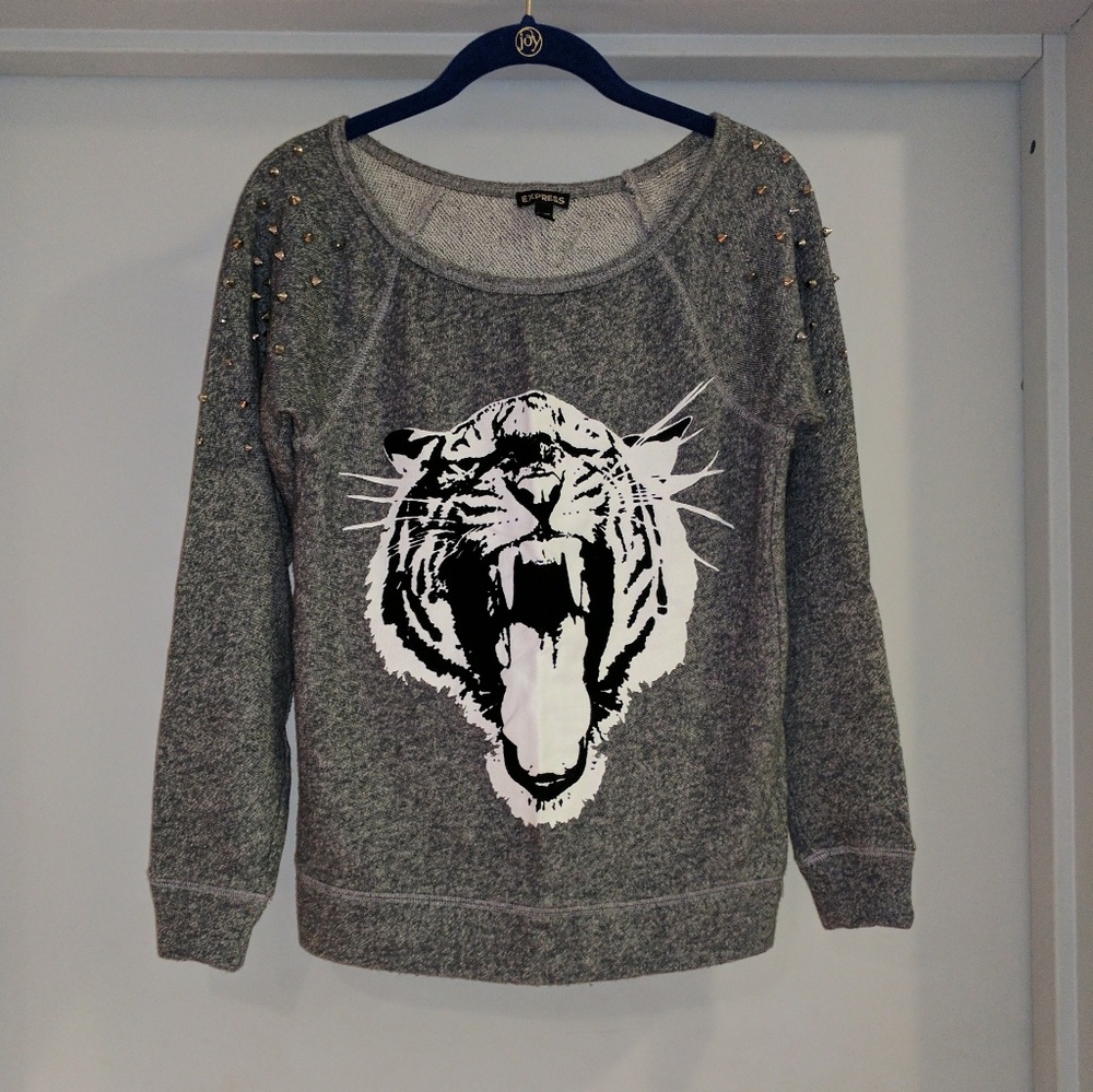 Express Blue/Gray Tiger Sweater