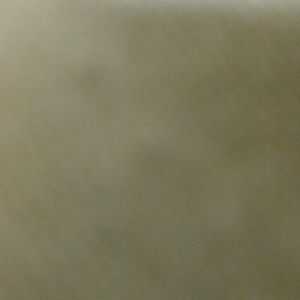 Meet your Posher, Tanhya