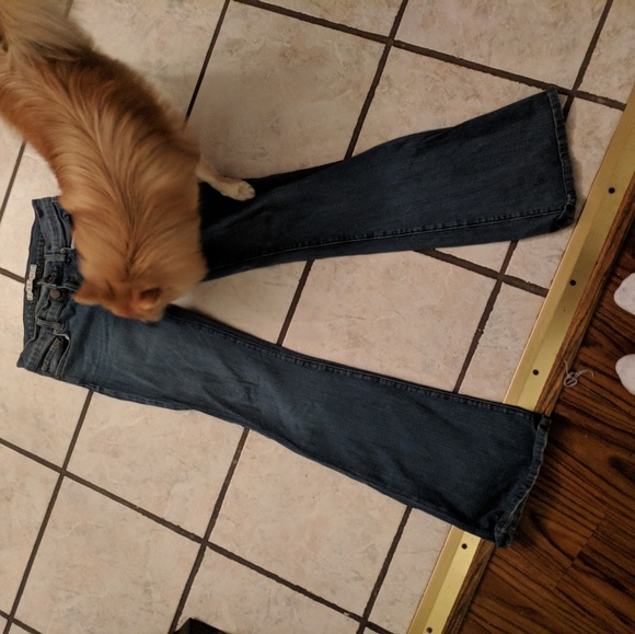 J Brand Babe Flare Jeans in Tawny. Size 25. - Picture 4 of 6