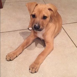 Meet your Posher, Christina