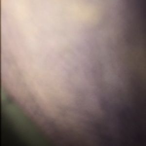 Meet your Posher, Ethan