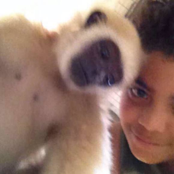 Meet your Posher, Jarrick - Picture 1 of 1