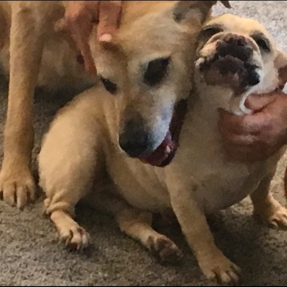 Meet your Posher, Kristyn