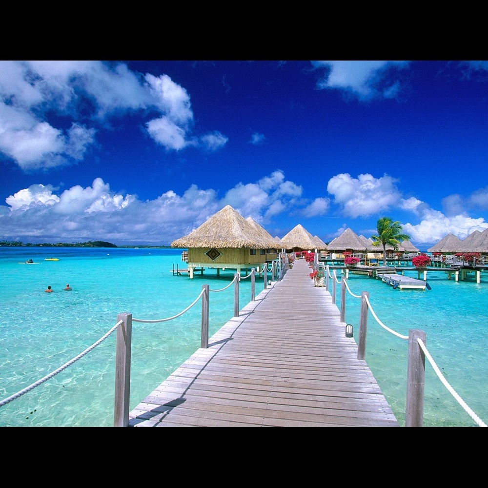 Meet your Posher, Kelli