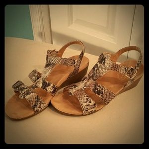 Snake Print Wedge Sandles