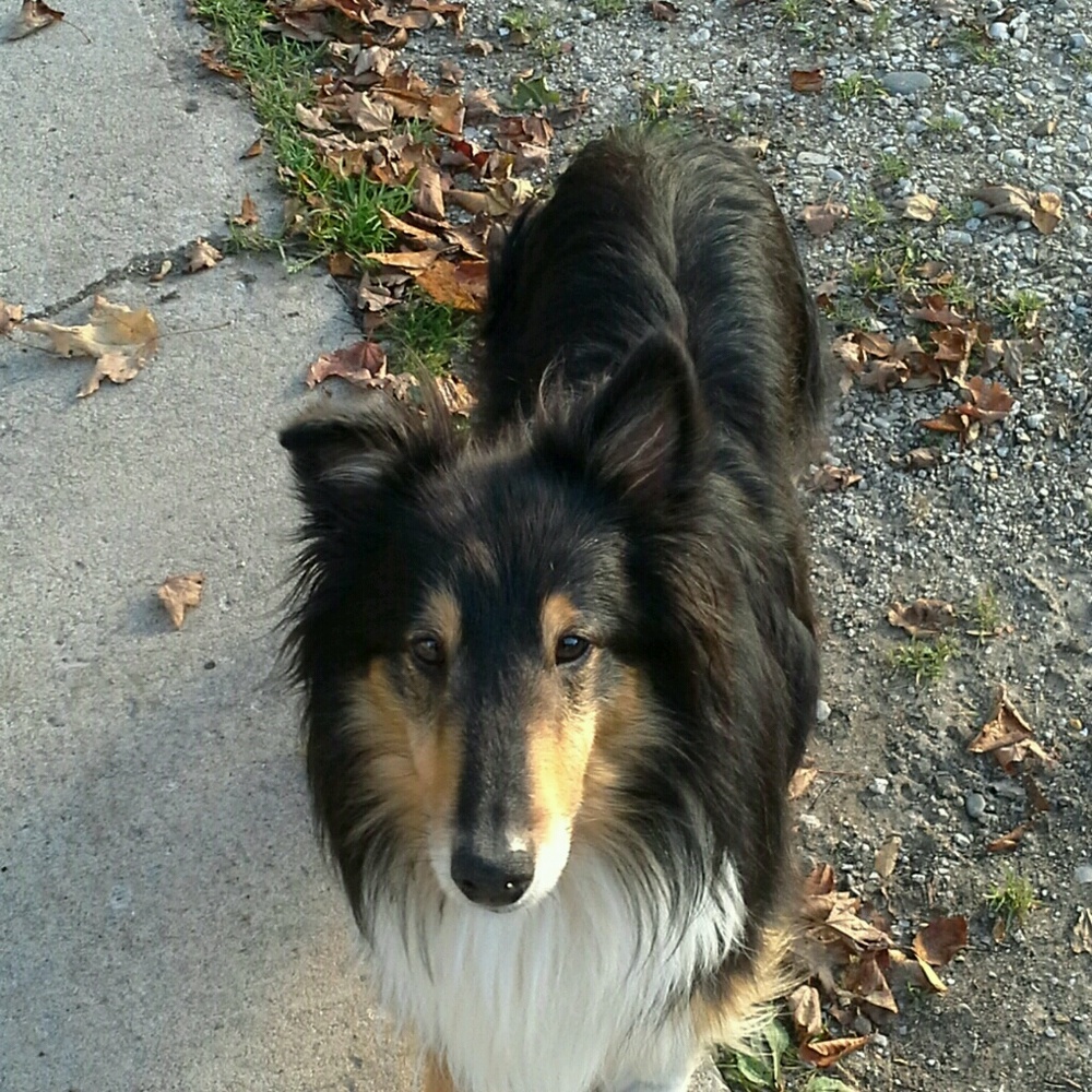 Meet your Posher, Jean