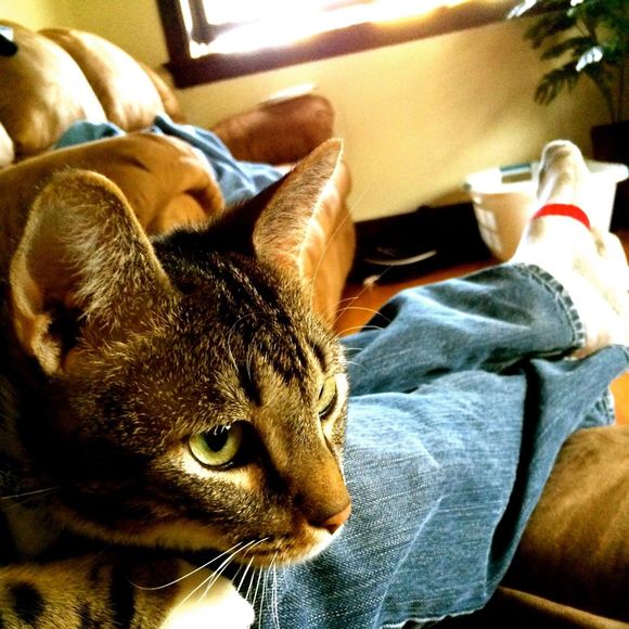 Meet your Posher, William - Picture 1 of 1