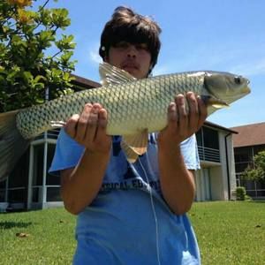 Meet your Posher, Nikolaus