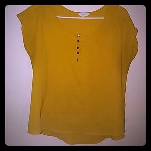 Yellow mustard top
