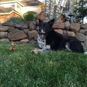 Meet your Posher, Gavin