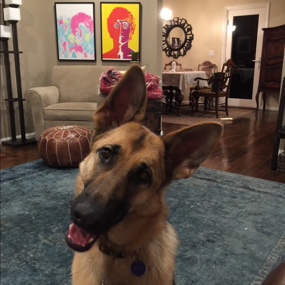 Meet your Posher, Tracy - Picture 2 of 3