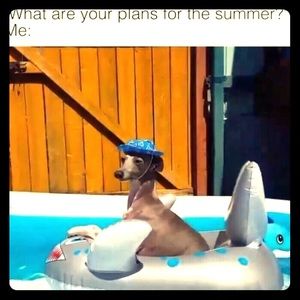 😱New sizes being added to my collection!!!! 😱