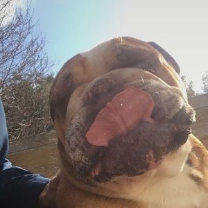 Meet your Posher, Matt