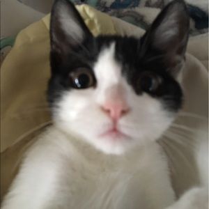 Meet your Posher, Hailey