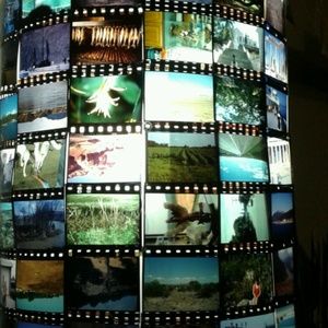 Meet your Posher, Cecily