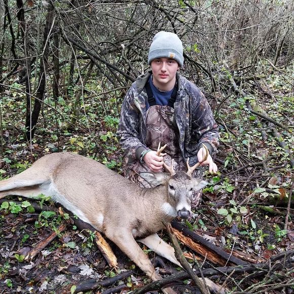 Meet your Posher, Sebastian - Picture 1 of 1