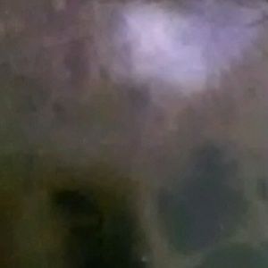 Meet your Posher, Charisma