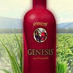 Meet your Posher, Dorothy