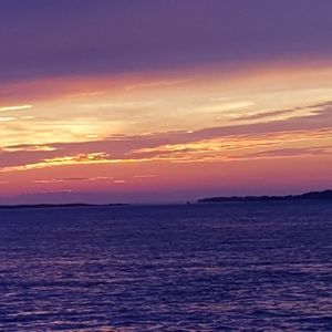 Meet your Posher, Donnia