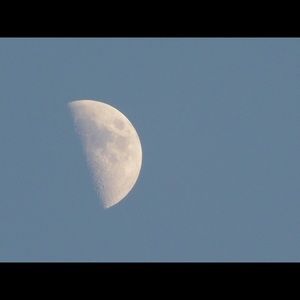 Meet your Posher, Giuliana