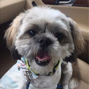 Meet your Posher, Tommy