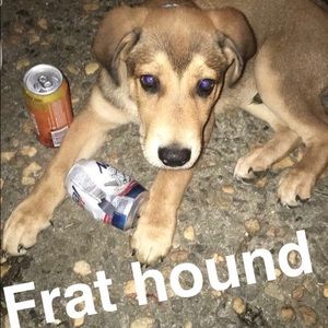 Meet your Posher, Alan