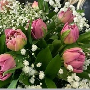 Meet your Posher, Emely