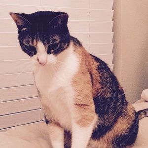 Meet your Posher, Cheris