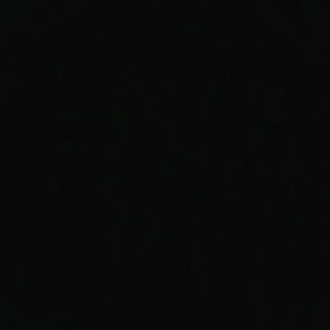 Meet your Posher, Abigail