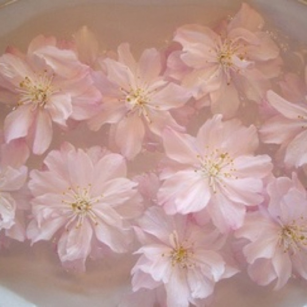 Meet your Posher, Mireya