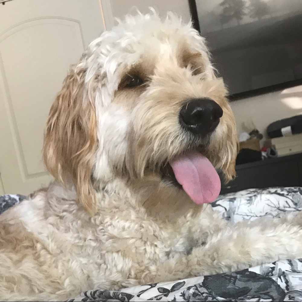 Meet your Posher, Esra