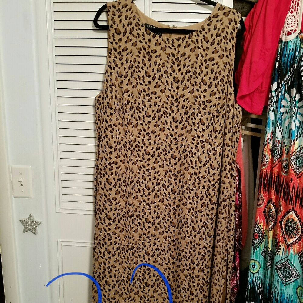 Plus Size dress