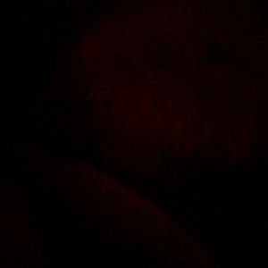 Meet your Posher, Jessie