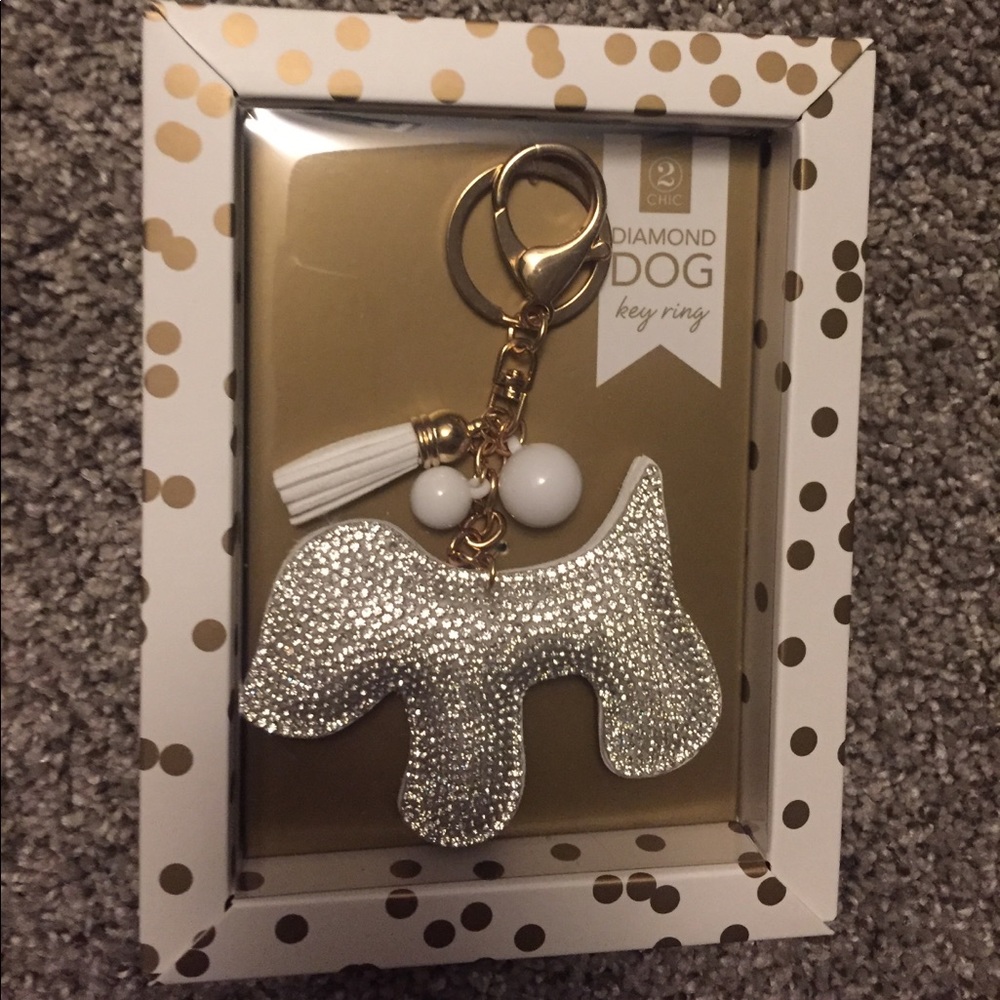 Key ring holder
