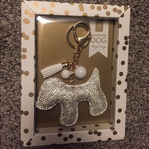 Key ring holder