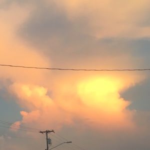 Meet your Posher, Kendall