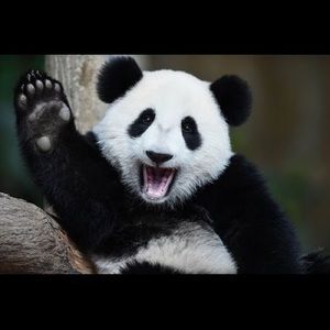 Meet your Posher, Renae