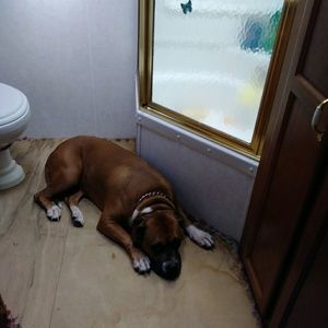 Meet your Posher, Heather