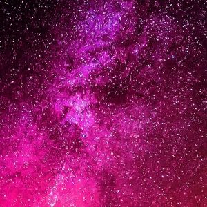 Meet your Posher, Ashlyn