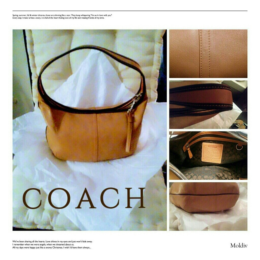 Coach leather hobo bag