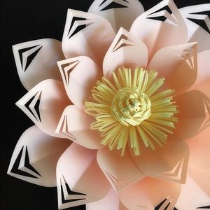 Meet your Posher, Lorena