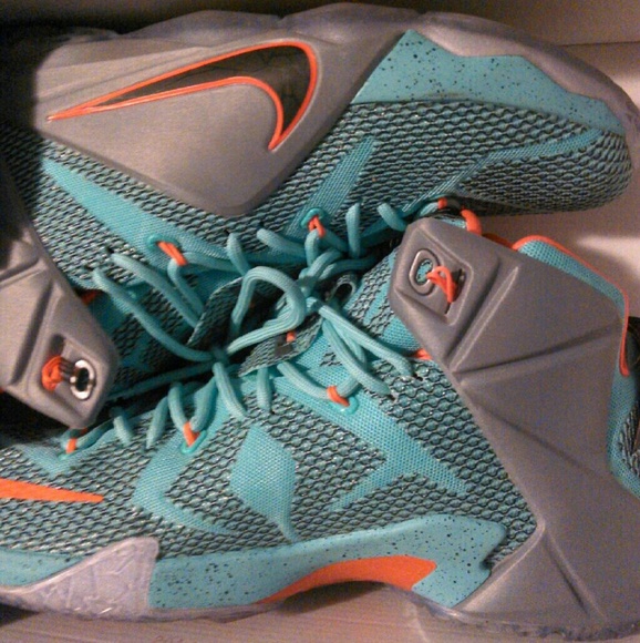 LeBron.James Miami dolphins - Picture 1 of 1