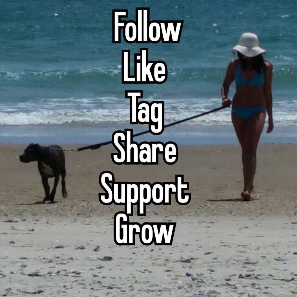 ❤️ My 1st Follow Game❤️
